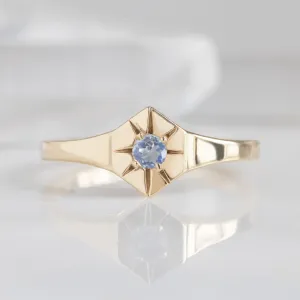 Custom Moonstone Birthstone Signet Ring | Yellow, Rose or White Gold