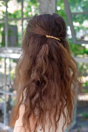 Long Twigs Barrette