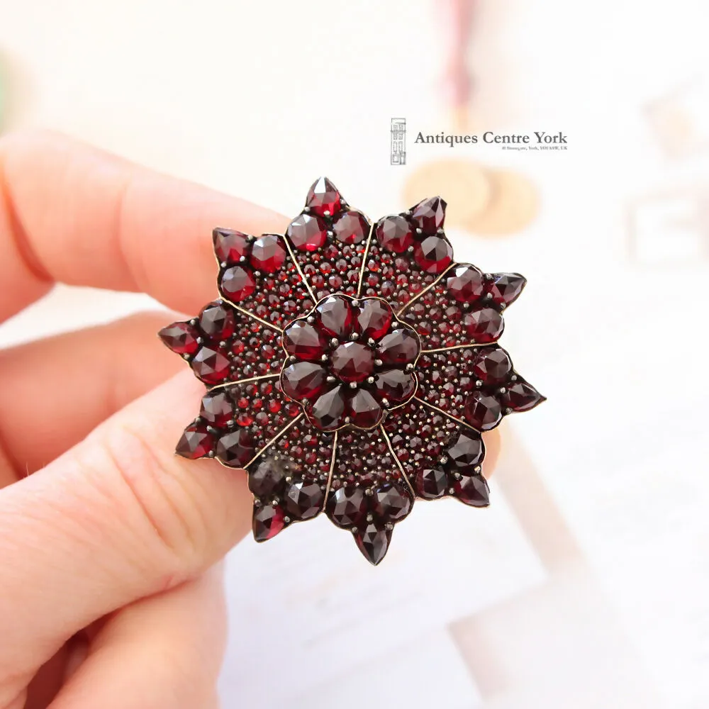 Victorian Gold & Garnet Star Brooch